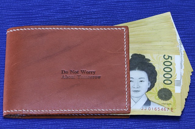 peněženka s nápisem a obrázek Japonky